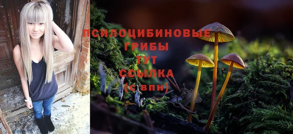 трава Бронницы