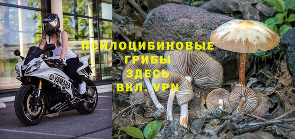 мяу мяу мука Бородино