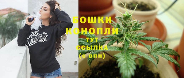 гидра Струнино